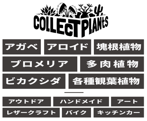 Collect Plants Vol.3（コレプラ）の画像